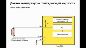 Почему сгорает эбу, контроллер управления инжекторным двигателем на авто. Частая причина