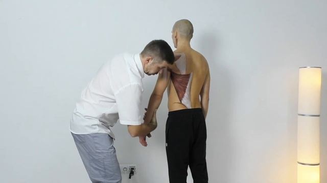 ШИРОЧАЙШАЯ МЫШЦА СПИНЫ. Мануальный мышечный тест. Прикладная кинезиология. M. Latissimus Dorsi