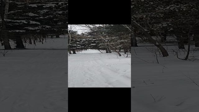 31-12-2024 смотреть онлайн