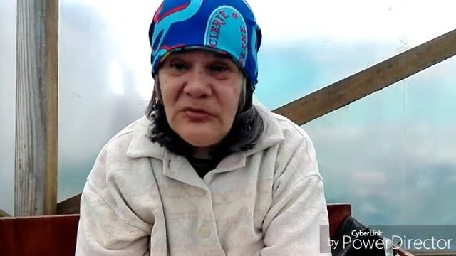 Целый день посадки, сирень, гортензии, лилии, картофель / Жизнь в селе. смотреть онлайн