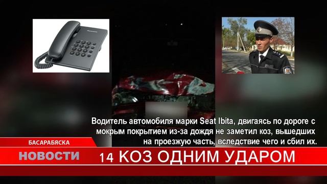 14 КОЗ ОДНИМ УДАРОМ смотреть онлайн