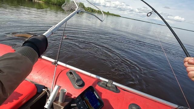 ЩУКА МЕЧТЫ смотреть онлайн