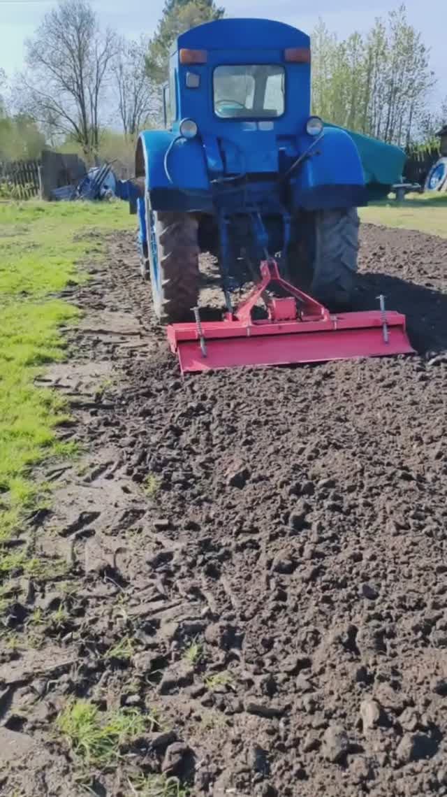 Подготовка почвы для посадки картофеля с помощью фрезы и трактора Т40. #tractor #тамсям #картофель смотреть онлайн