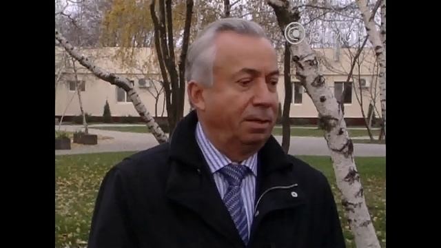 Современный приют для бездомных собак смотреть онлайн
