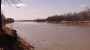 РЫБАЧИМ на ОБИ. (1)