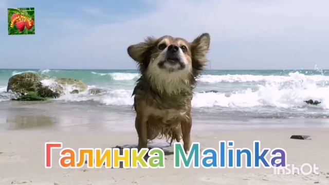 Деревенский дневник очень многодетной мамы /Призналась во всем /Обзор /Леля Быкова смотреть онлайн