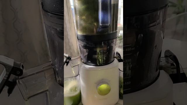 Batch Juicing Celery for 3 days, amazing detox juice #juicing #detoxjuice #juicerecipe смотреть онлайн