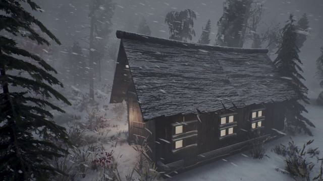 Вой холодного ветра и сильный снегопад | Зимняя снежная буря | Расслабляющие звуки ночной метели смотреть онлайн