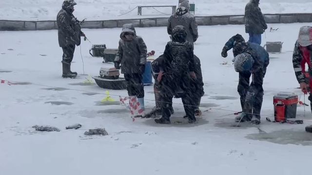 31-12-2024 смотреть онлайн