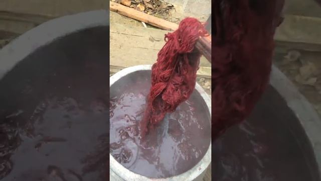 Dyeing Wool with Natural Plant Dyes: Dyeing wool with cochineal смотреть онлайн