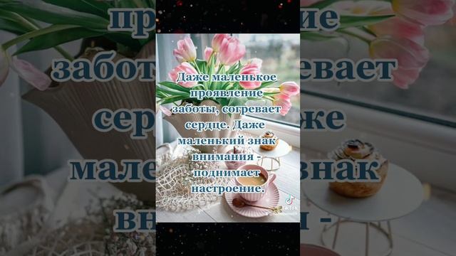 #цитаты смотреть онлайн