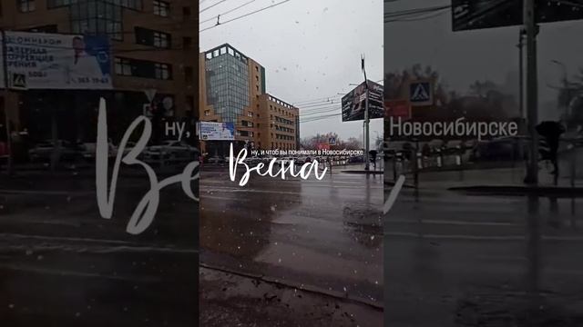 2 мая 🌸 #новосибирск #нск54 #новосиб #весна #весна2024 #май #май2024 #снег #снегвесной смотреть онлайн