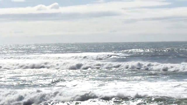 Tsunami Advisory time period at Arena Cove, Point Arena after Chile quake смотреть онлайн