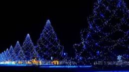 нг стрим) смотреть онлайн