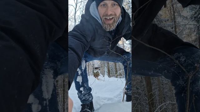 лучший стейк в лесу #рецепт #готовим #жариммясо #стейк