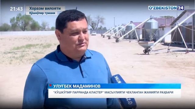 Хоразмда паррандачиликни ривожлантиришга киритилаётган сармоялар смотреть онлайн