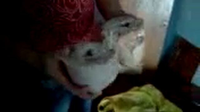Шашлык по-общажному смотреть онлайн