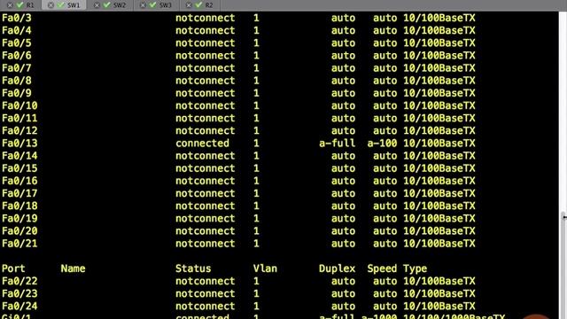 Switch Lab Verifications смотреть онлайн