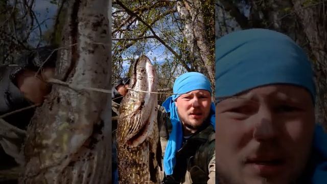 ОГРОМНАЯ ЩУКА НА СПИННИНГ смотреть онлайн