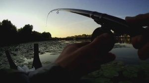 Ловля на боковой кивок на Дону в зарослях с лодки