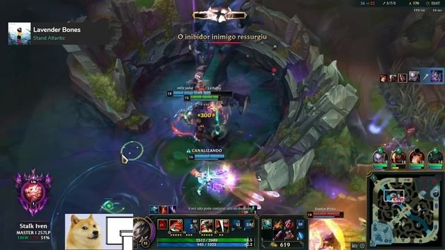 DARIUS BALANCEADO E A MELHOR SKIN JÁ FEITA - MELHORES CLIPES DE ABRIL смотреть онлайн