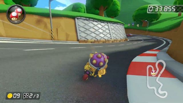 DS Shroom Ridge [200cc] - 1:16.420 - Elite★Luck (Mario Kart 8 Deluxe World Record) смотреть онлайн