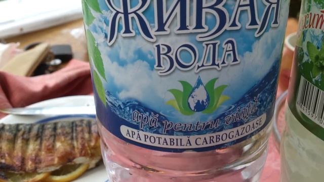 29 июля 2016 г. смотреть онлайн
