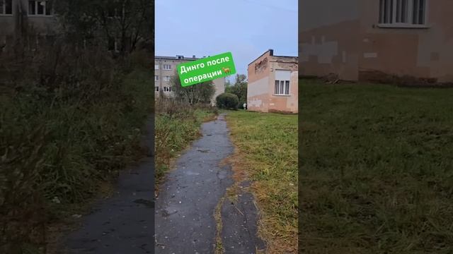 Как себя чувствует Диего после операции смотреть онлайн