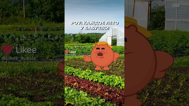 вы любите природу