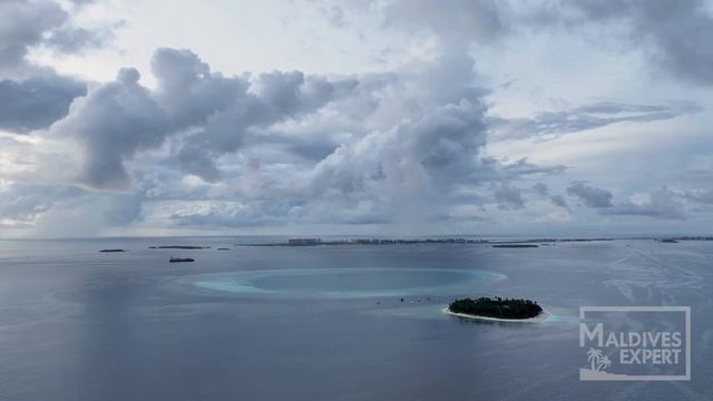 Обзор отеля Bandos Maldives / Bandos Hotel Review. Домашний риф, активности, экскурсии на дельфинов