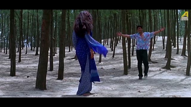 Akbar Duibar | Janam Janamer Sathi | Bengali Movie Song | Md. Aziz, Sadhna Sargam смотреть онлайн