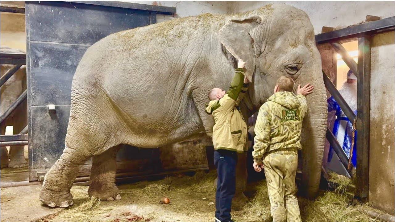 У меня просто останавливается сердце,Олег Зубков и доктор Василий меряют температуру у больной Джени смотреть онлайн