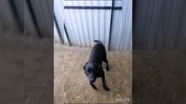 добрые дела смотреть онлайн