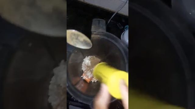 Suco de mamão com canela смотреть онлайн