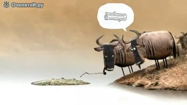 Бревно или крокодил