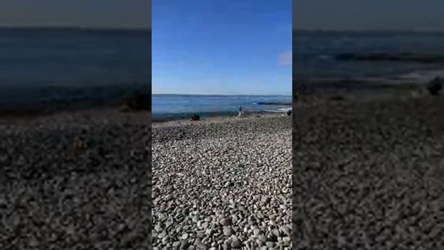 Сочи-Адлер Осенний день☀ Прогулка по городу #Адлер #Сочи #КраснодарскийКрай #стрим #море #город смотреть онлайн