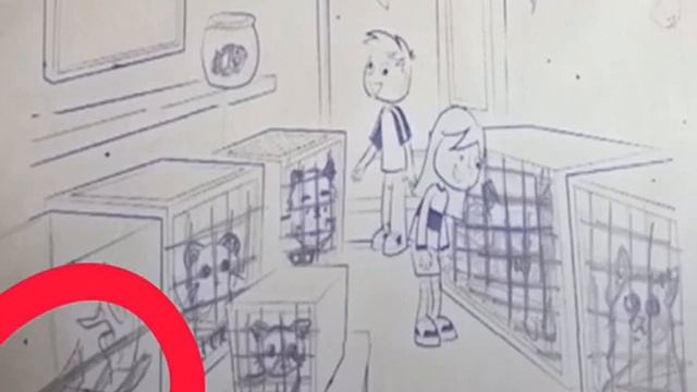 мои студенты описывают свои магазины животных смотреть онлайн