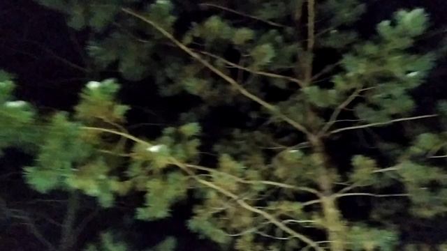 VID_20241231_222038.mp4 смотреть онлайн