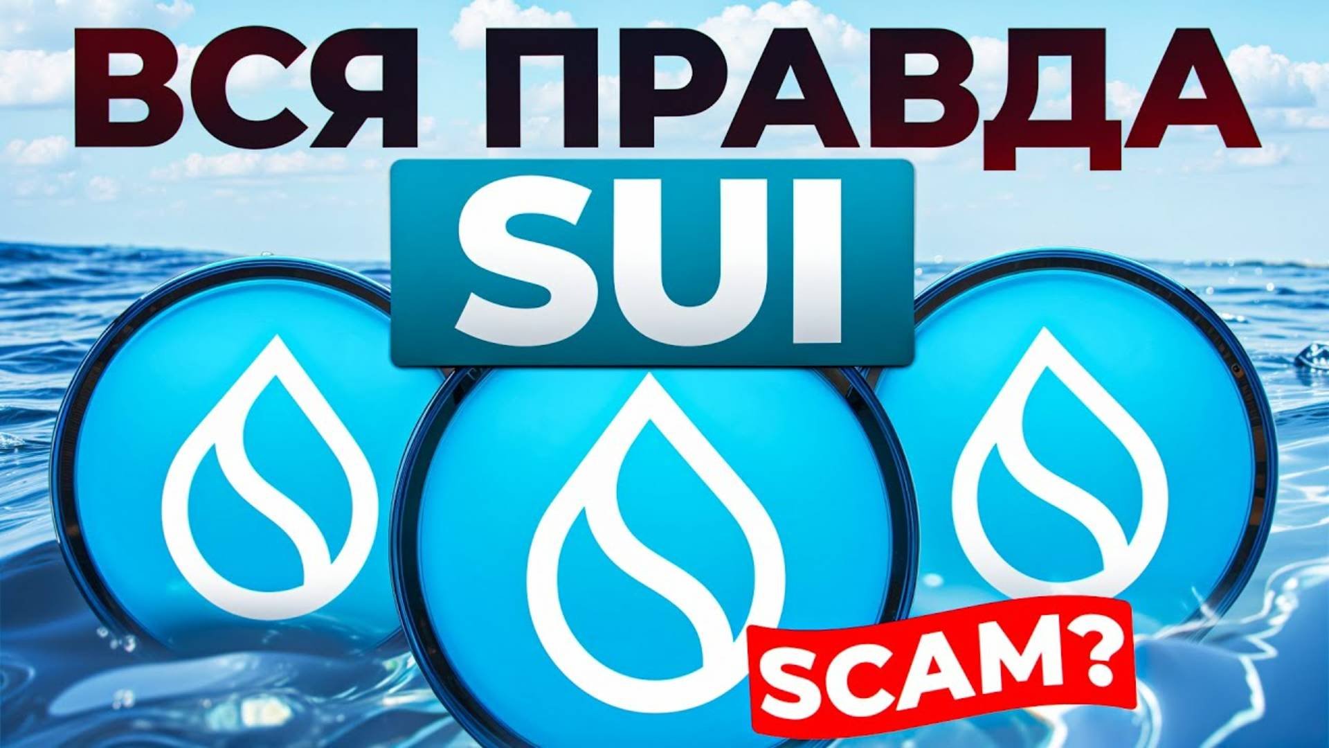 Обзор SUI. какие перспективы у SUI и чего ждать от монеты