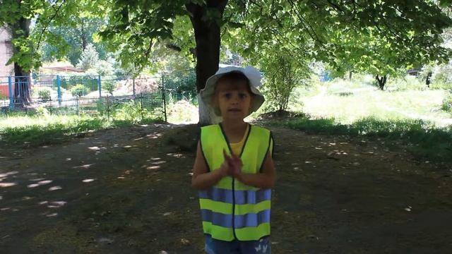 "Обязательно ли носить на одежде светоотражающие элементы в светлое и темное время суток?" смотреть онлайн