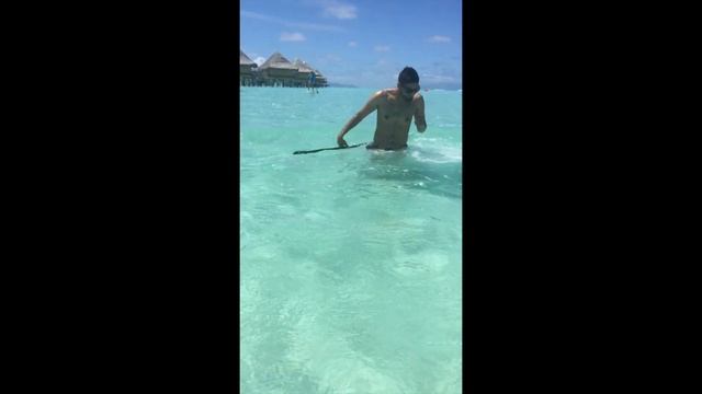 Bora Bora | Honeymoon