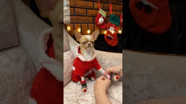 В ожидании нового года!!!! смотреть онлайн