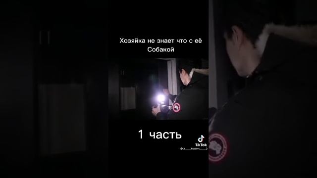 Хозяйка не знает что с её собакой😦😦 смотреть онлайн
