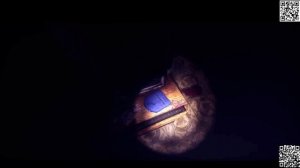 Прохождение From the darkness