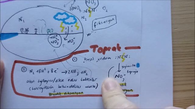 AZOT DÖNGÜSÜ | Hafıza Teknikleriyle Ders Videolarım #76 смотреть онлайн