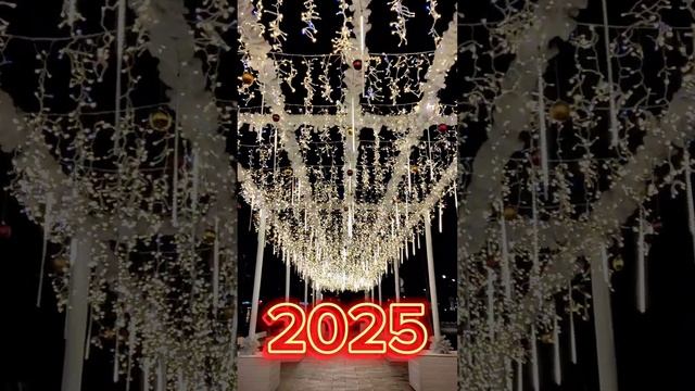 С наступающим новым 2025 годом!