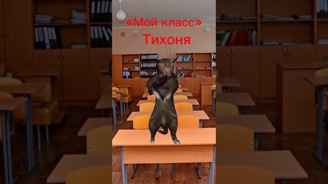 #мойкласс#котики