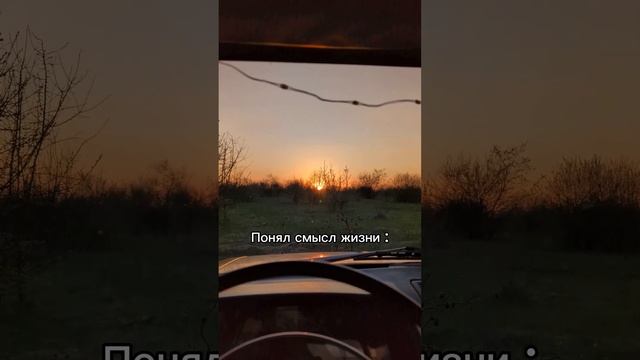 Понял смысл жизни смотреть онлайн