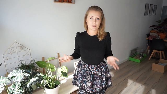 Mierzymy Jesienne Nowości смотреть онлайн