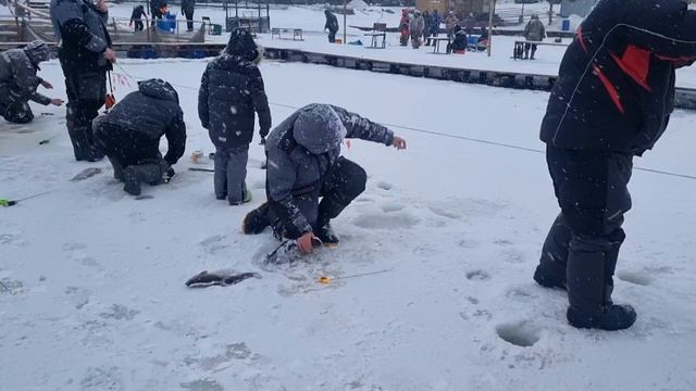 31-12-2024 смотреть онлайн